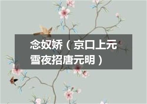 念奴娇（京口上元雪夜招唐元明）