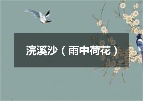 浣溪沙（雨中荷花）