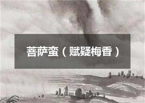 菩萨蛮（赋疑梅香）
