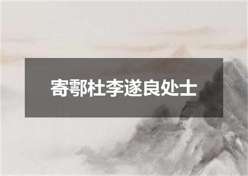 寄鄠杜李遂良处士