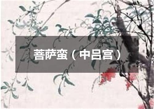 菩萨蛮（中吕宫）