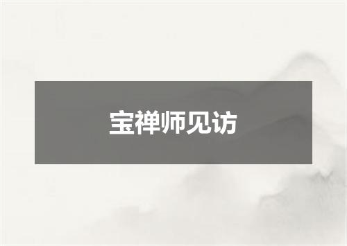 宝禅师见访