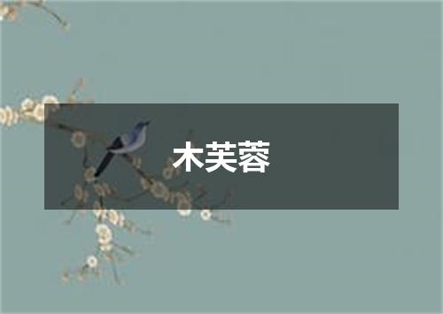 木芙蓉