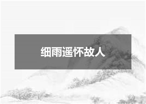 细雨遥怀故人
