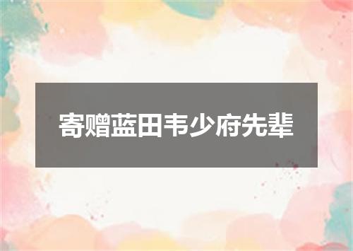 寄赠蓝田韦少府先辈