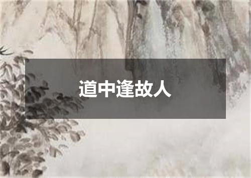 道中逢故人