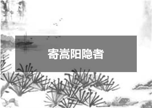 寄嵩阳隐者