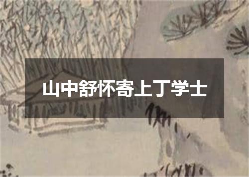 山中舒怀寄上丁学士