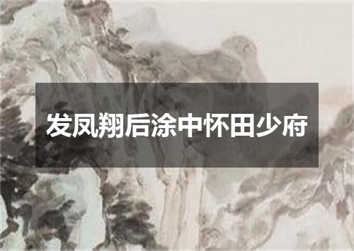 发凤翔后涂中怀田少府