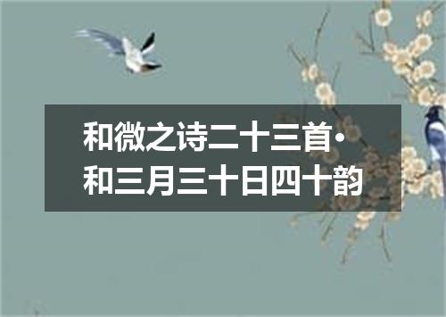 和微之诗二十三首·和三月三十日四十韵