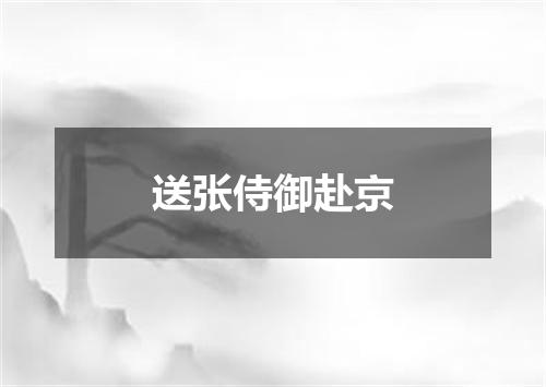 送张侍御赴京