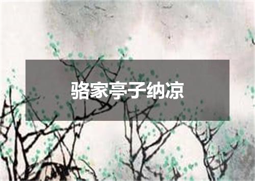 骆家亭子纳凉