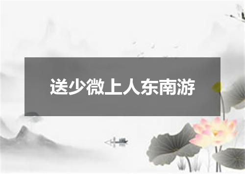 送少微上人东南游