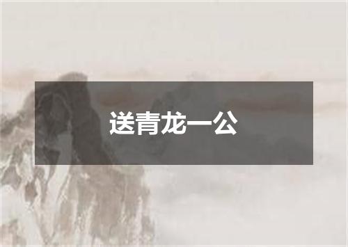 送青龙一公