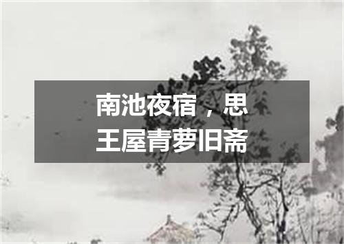 南池夜宿，思王屋青萝旧斋