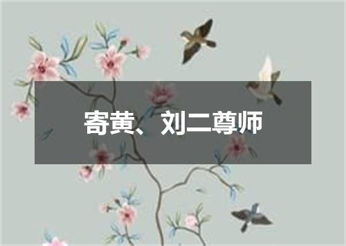 寄黄、刘二尊师