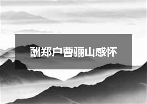 酬郑户曹骊山感怀