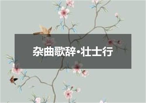 杂曲歌辞·壮士行