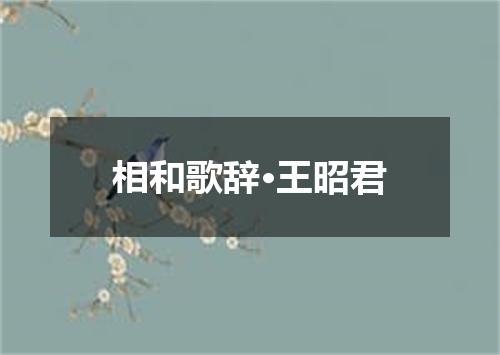 相和歌辞·王昭君