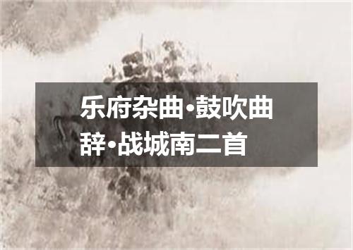 乐府杂曲·鼓吹曲辞·战城南二首