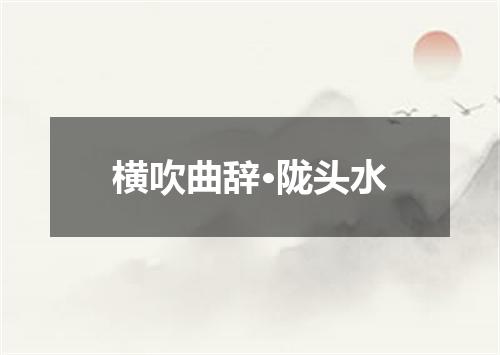 横吹曲辞·陇头水