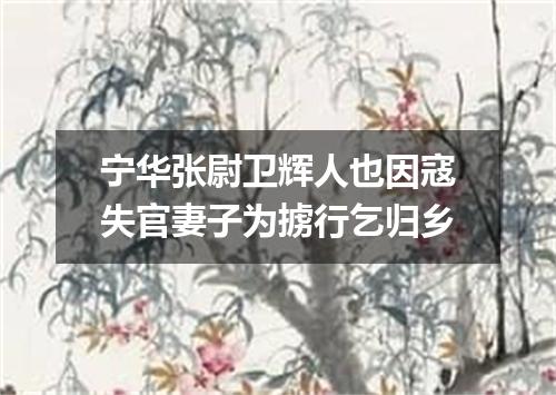 宁华张尉卫辉人也因寇失官妻子为掳行乞归乡