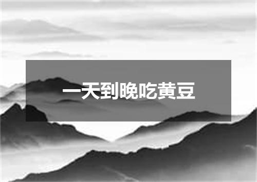 一天到晚吃黄豆