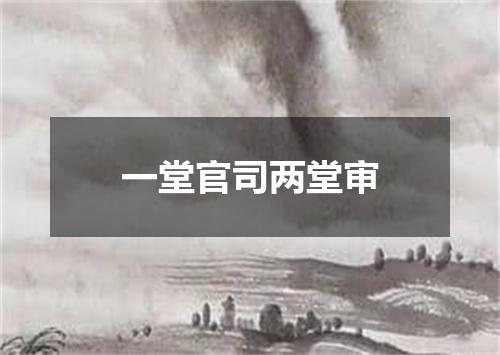 一堂官司两堂审