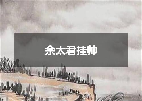 佘太君挂帅