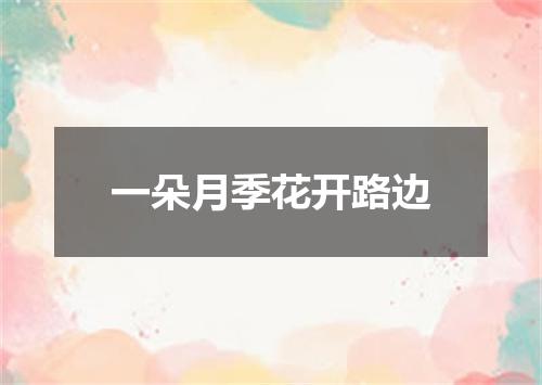 一朵月季花开路边