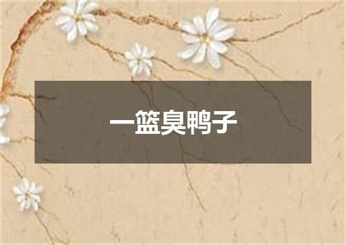 一篮臭鸭子