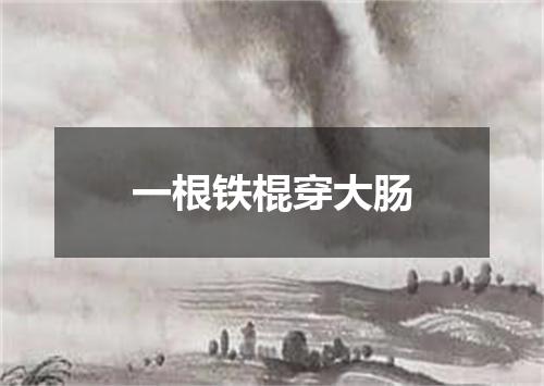 一根铁棍穿大肠