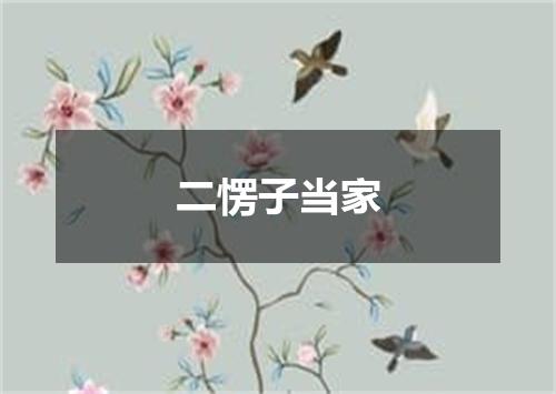 二愣子当家