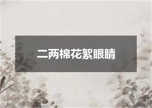 二两棉花絮眼睛