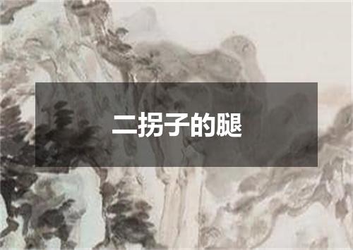二拐子的腿