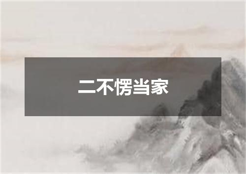 二不愣当家