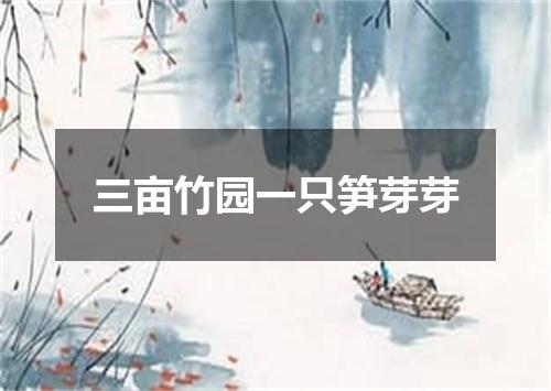 三亩竹园一只笋芽芽