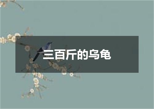 三百斤的乌龟