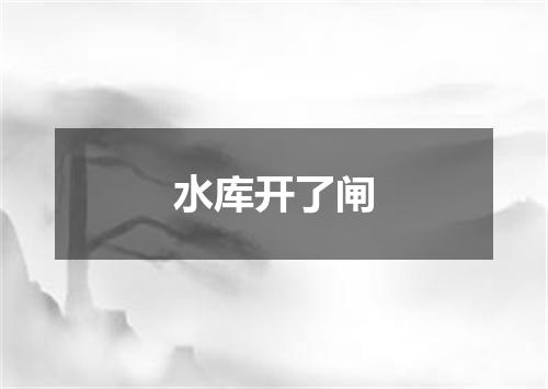 水库开了闸
