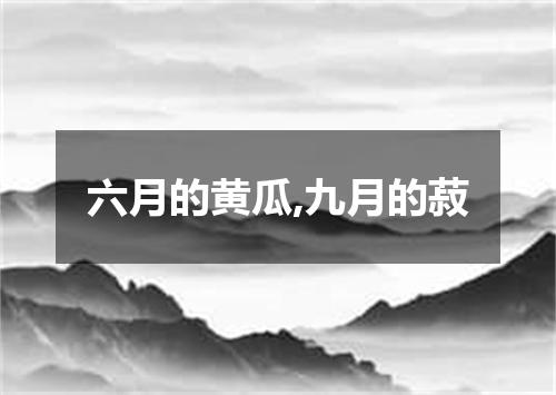 六月的黄瓜,九月的菽