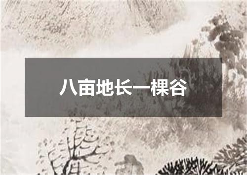 八亩地长一棵谷