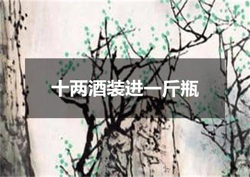 十两酒装进一斤瓶