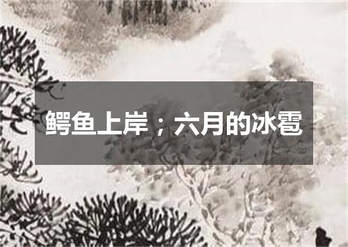 鳄鱼上岸；六月的冰雹