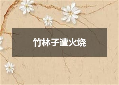 竹林子遭火烧