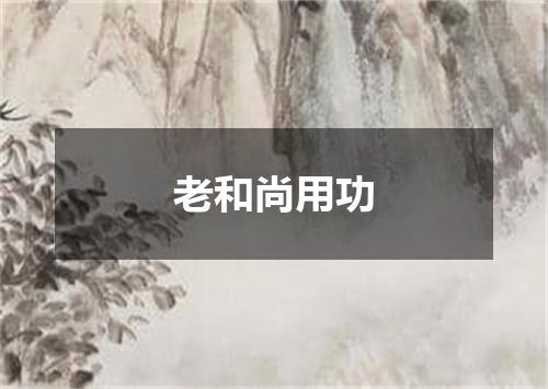 老和尚用功
