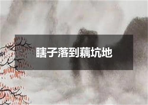 瞎子落到藕坑地