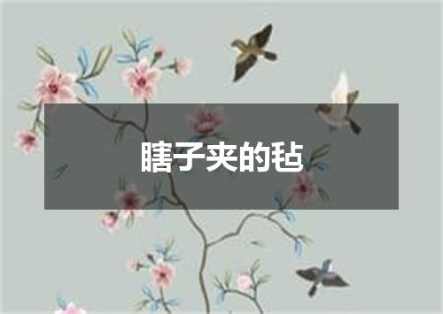 瞎子夹的毡