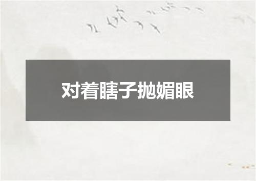 对着瞎子抛媚眼