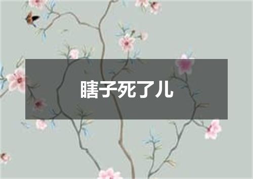 瞎子死了儿