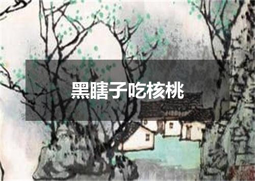 黑瞎子吃核桃